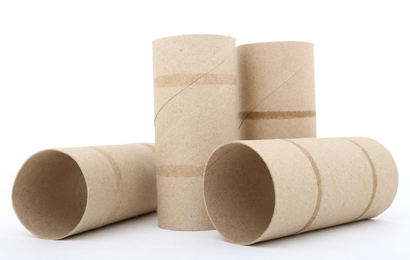 Cardboard Tube Binoculars